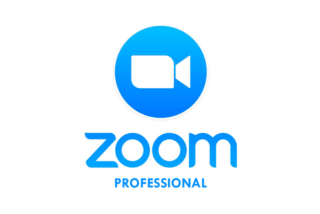 Zoom Pro 